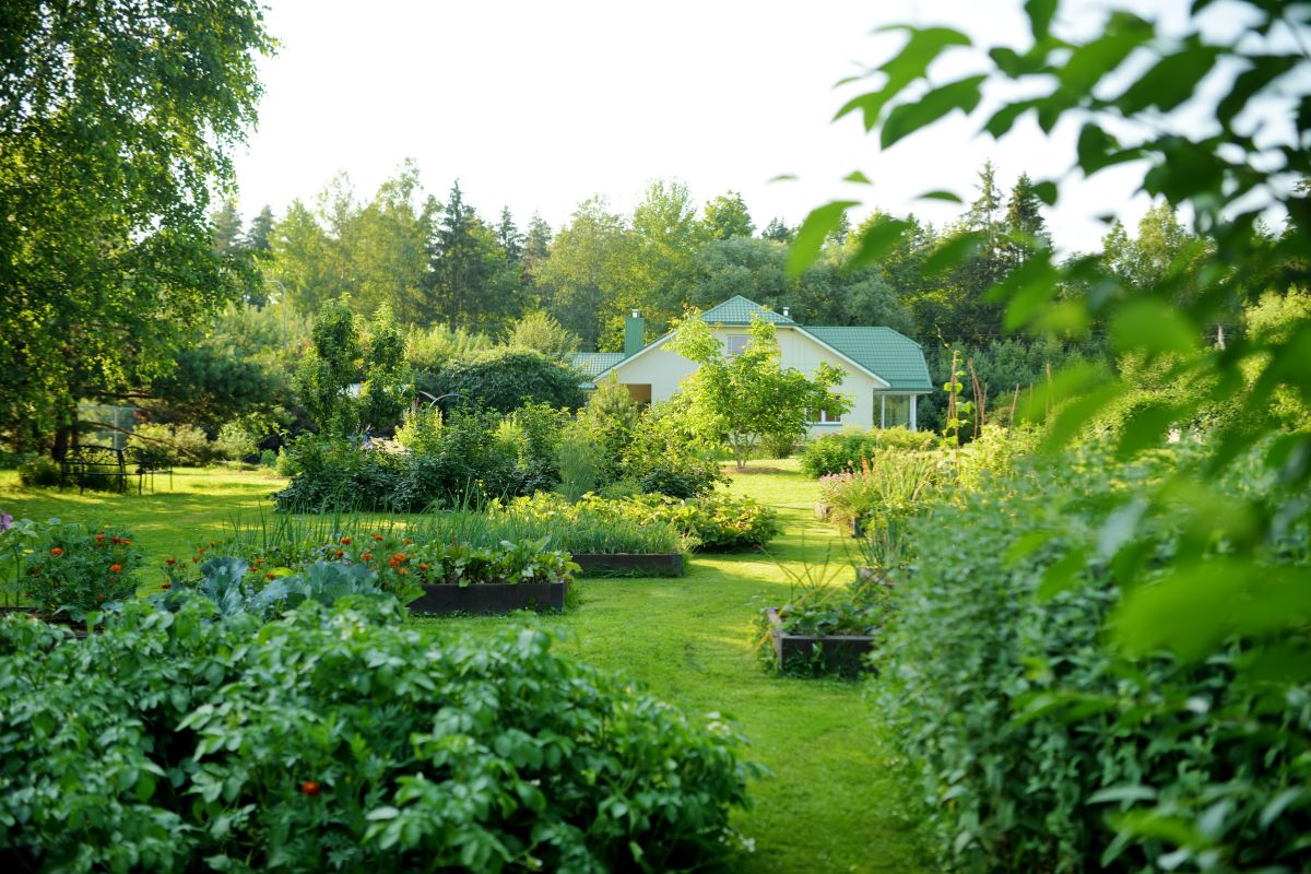 Connaissez Vous Les Astuces Florales Qui Transformeront Votre Maison