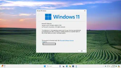 découvrez les versions bêta de windows 11 et explorez les dernières fonctionnalités testées avant leur lancement officiel. restez à jour avec les innovations et optimisez votre expérience utilisateur grâce aux mises à jour exclusives des préversions.