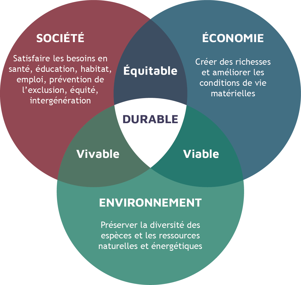 découvrez l'agriculture durable, une approche innovante qui allie respect de l'environnement, efficacité économique et équité sociale. apprenez comment cette pratique préserve nos ressources naturelles tout en garantissant des rendements de qualité pour les générations futures.