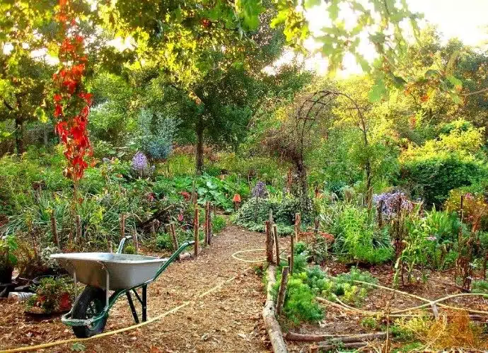 découvrez la permaculture, une méthode d'agriculture durable qui harmonise les pratiques culturales avec les écosystèmes naturels. apprenez à cultiver vos propres aliments tout en respectant l'environnement et en favorisant la biodiversité.