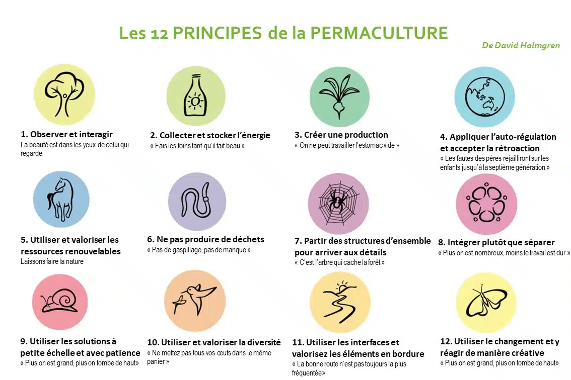 découvrez les principes fondamentaux de la permaculture, une méthode durable de conception agricole qui respecte les écosystèmes naturels. apprenez comment créer des systèmes productifs et résilients en harmonie avec la nature.