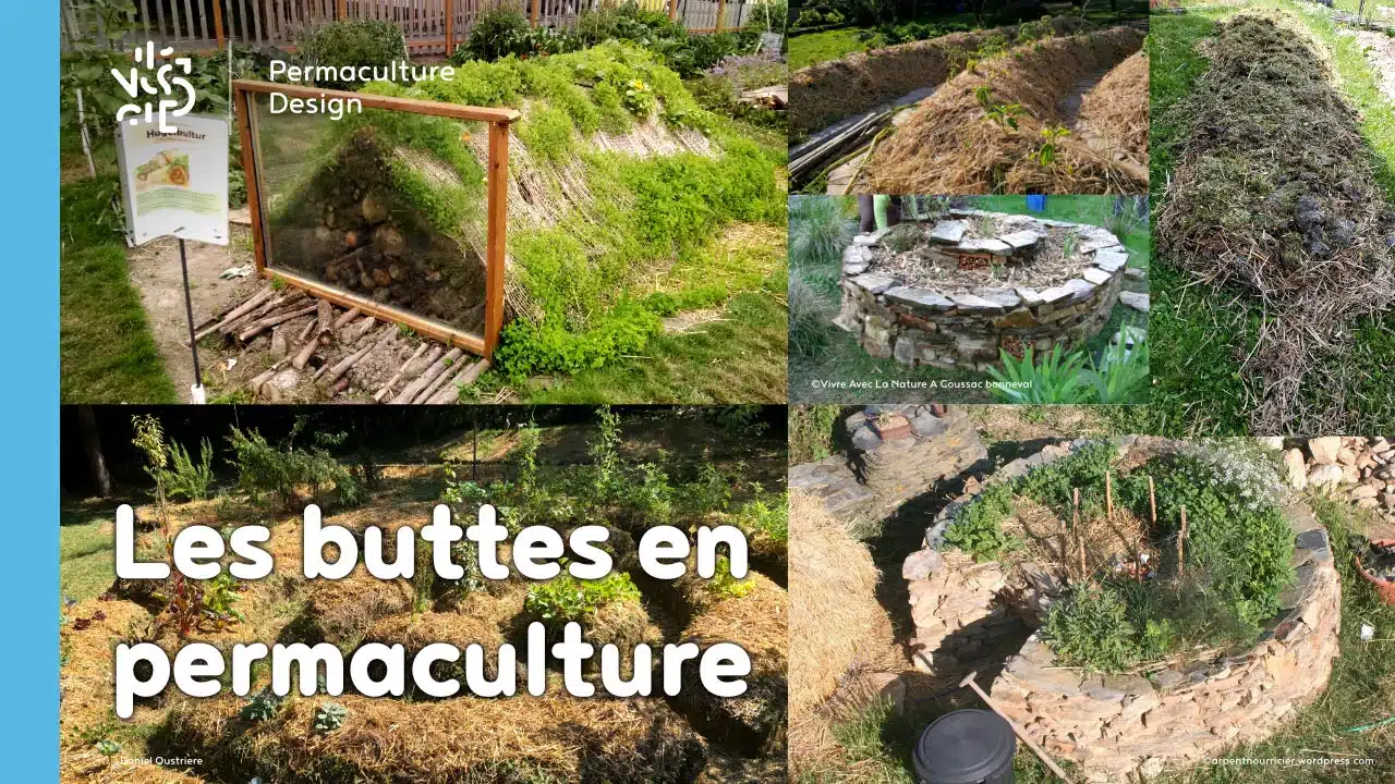 découvrez comment débuter en permaculture avec nos conseils pratiques. apprenez les fondamentaux de cette méthode de culture durable, idéale pour respecter l'environnement tout en cultivant vos propres légumes et herbes. transformez votre jardin en un écosystème florissant grâce à la permaculture!