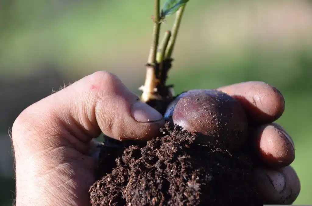 découvrez notre guide complet sur les outils de permaculture, essentiels pour cultiver un jardin écologique et durable. apprenez à choisir et à utiliser les meilleurs équipements pour favoriser la biodiversité et optimiser vos récoltes.