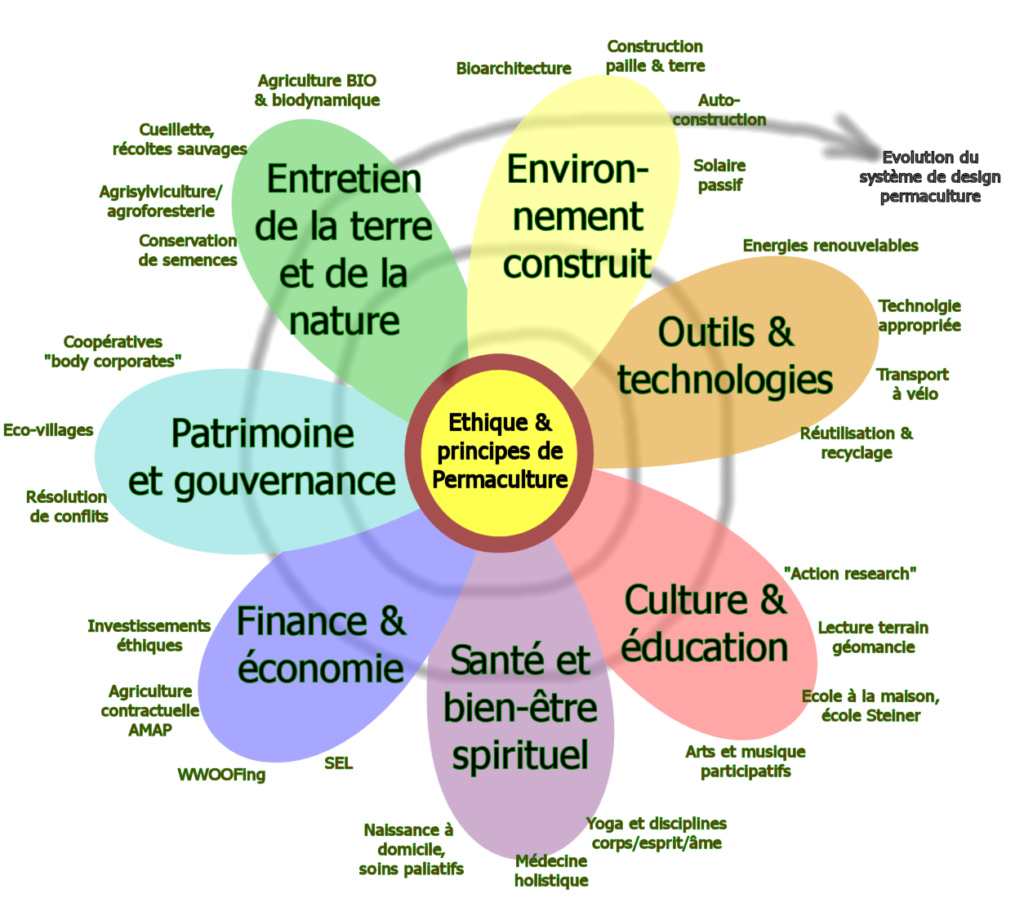 découvrez les principes fondamentaux de la permaculture, une approche durable et écologique pour cultiver la terre en harmonie avec la nature. apprenez à concevoir des systèmes de culture régénératifs et à optimiser l'utilisation des ressources tout en favorisant la biodiversité.