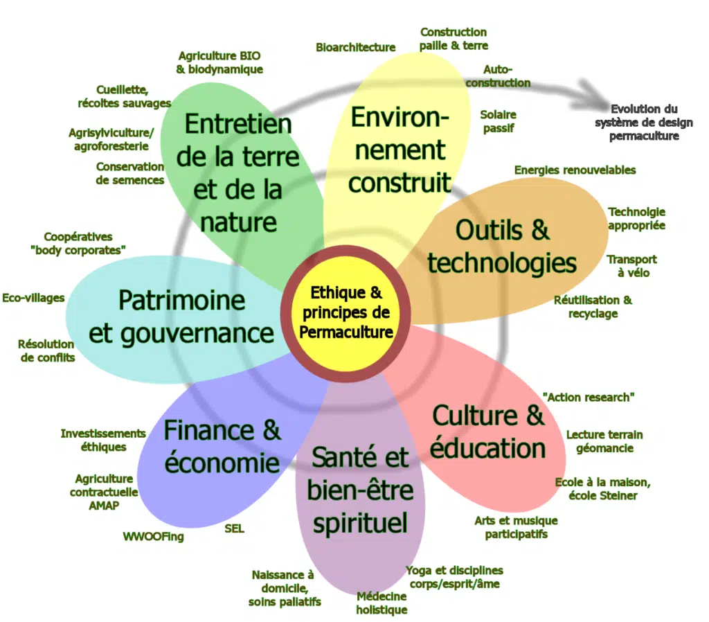 découvrez les principes fondamentaux de la permaculture, une approche durable et écologique pour cultiver la terre en harmonie avec la nature. apprenez à concevoir des systèmes de culture régénératifs et à optimiser l'utilisation des ressources tout en favorisant la biodiversité.