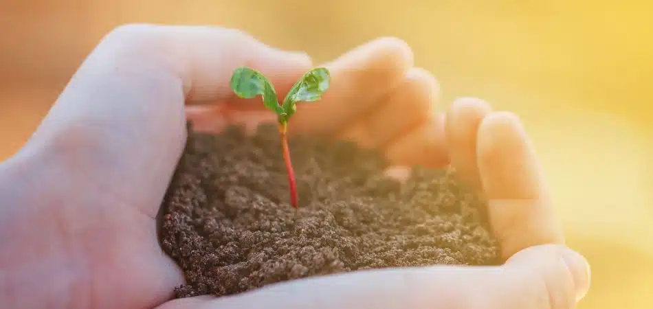 découvrez le jardinage lasagne en permaculture : une méthode innovante et durable pour cultiver vos légumes facilement, enrichir votre sol et favoriser la biodiversité. adoptez une approche écologique et productive pour un jardin florissant et respectueux de l'environnement.