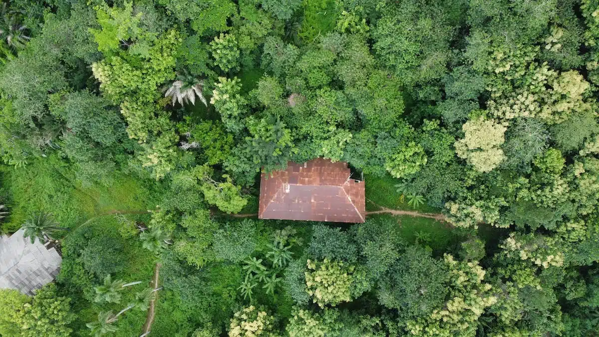 découvrez les nombreux avantages de la permaculture, une méthode de jardinage durable qui respecte l'environnement. apprenez comment elle favorise la biodiversité, améliore la qualité du sol et permet de produire des aliments sains tout en réduisant l'empreinte écologique.