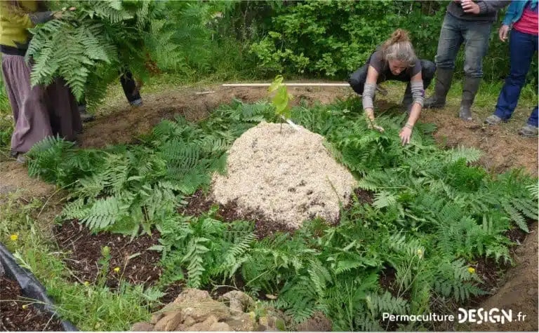 découvrez l'art du compostage en permaculture : des techniques écologiques pour enrichir votre sol, favoriser la biodiversité et créer un jardin durable. apprenez à transformer vos déchets organiques en or noir, pour un écosystème florissant et respectueux de l'environnement.