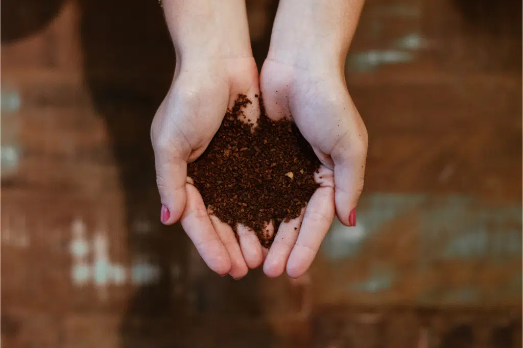 découvrez l'harmonie entre l'écologie et la permaculture, une approche durable pour cultiver la terre tout en respectant l'environnement. apprenez les principes de conception écologique, les techniques de jardinage permaculturel et l'importance de la biodiversité pour un futur plus vert.