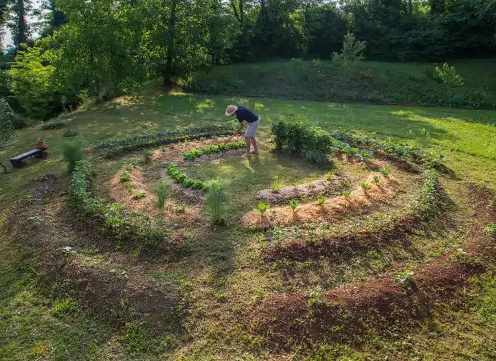 découvrez comment la permaculture peut améliorer la santé de votre sol et favoriser une agriculture durable. apprenez les techniques pour enrichir votre terre, cultiver des plantes plus saines et préserver la biodiversité tout en respectant l'environnement.