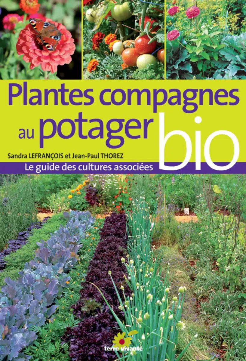 découvrez l'univers des plantes compagnes en permaculture : apprenez à associer les différentes espèces pour favoriser la biodiversité, optimiser la croissance de vos cultures et réduire les nuisibles de manière naturelle. transformez votre jardin en un écosystème harmonieux!